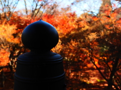 京紅葉2025＿嵐山・宝筐院03