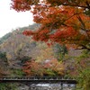 京紅葉2018＿八瀬もみじの小径01