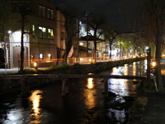 初春の白川 一本橋