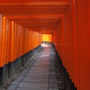 朱の道