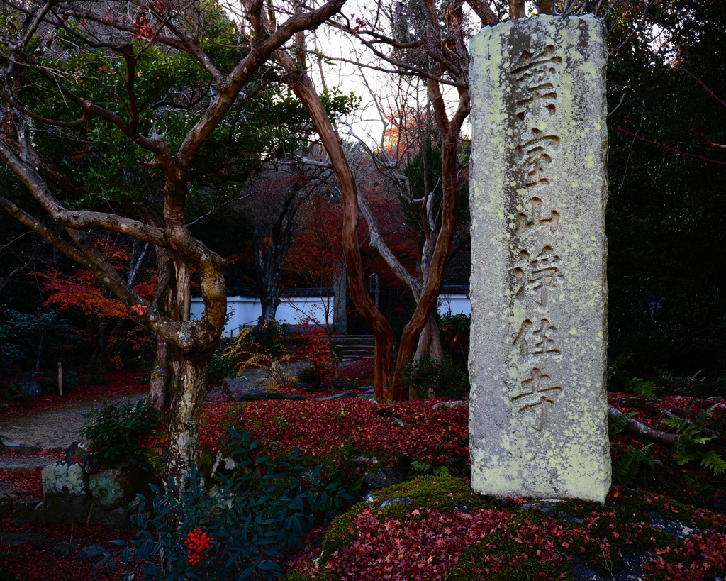 京紅葉2025＿洛西・浄住寺01