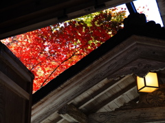 京紅葉2025＿京北・常照皇寺03 みえる