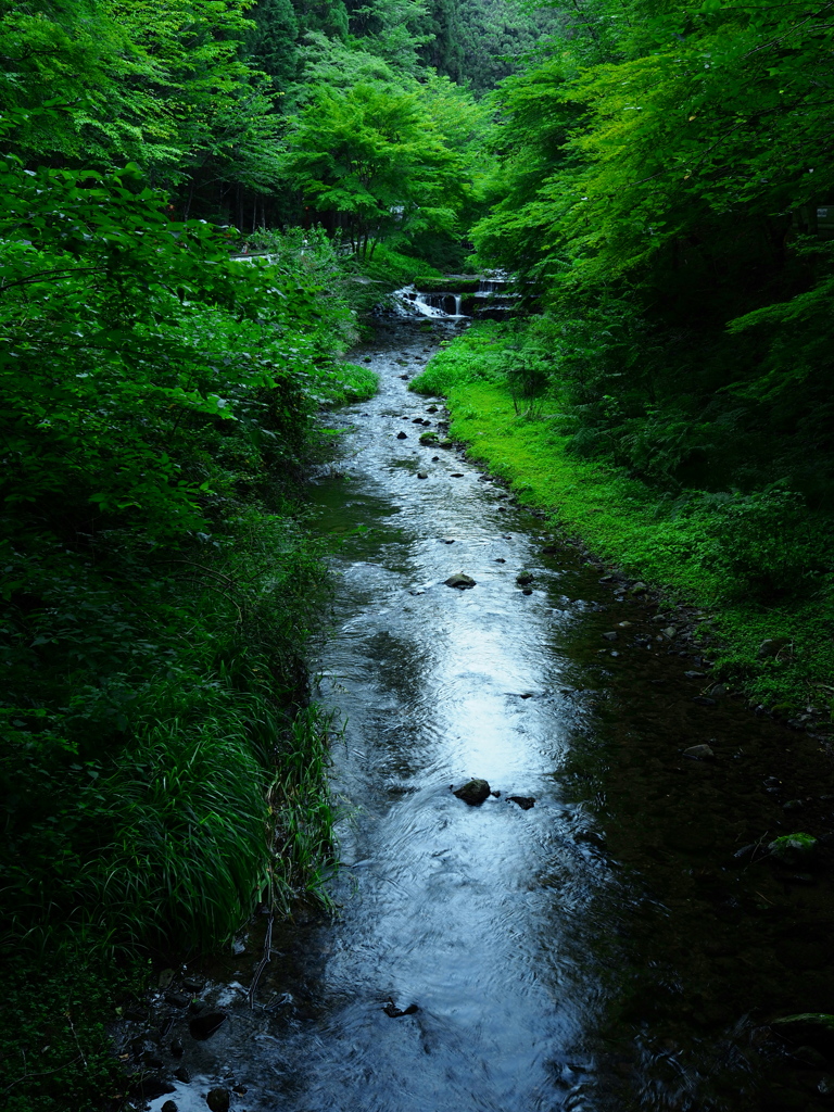 貴船川