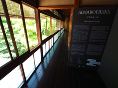 KYOTOGRAPHIE_八竹庵01