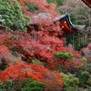 京紅葉2018＿毘沙門堂門跡15　高台弁財天