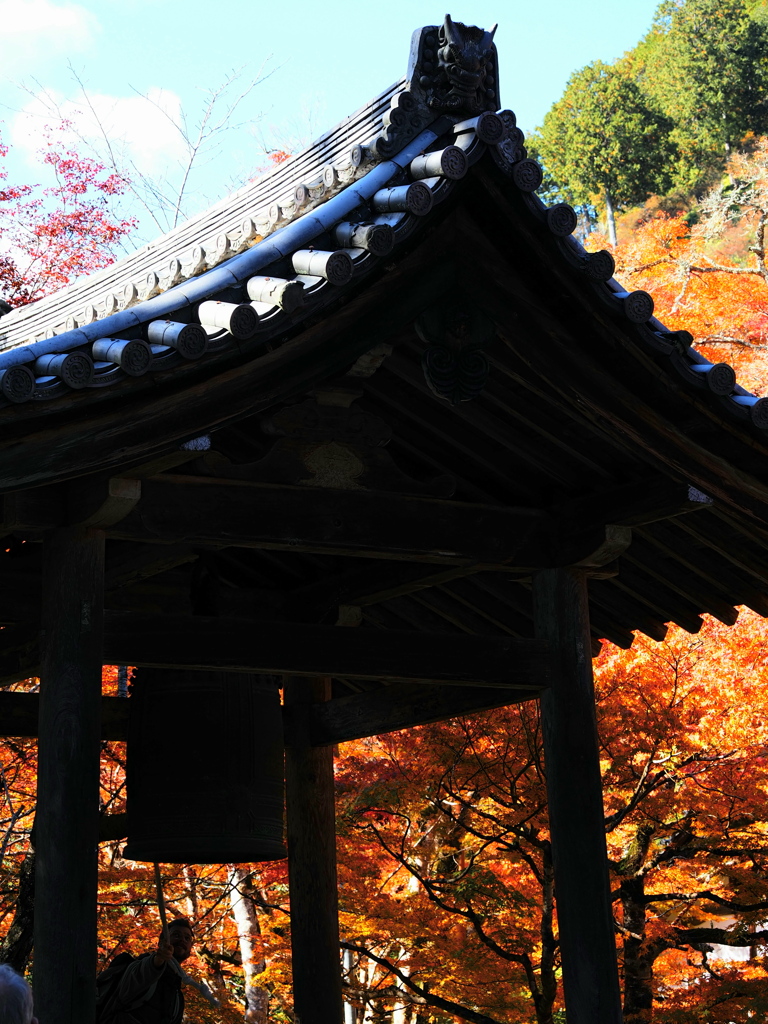 京紅葉2025＿槙尾・西明寺10　撞く