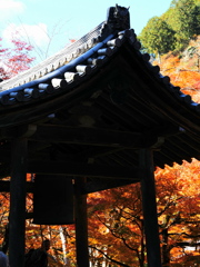 京紅葉2025＿槙尾・西明寺10　撞く