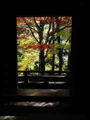 滋賀紅葉2025＿葛川息障明王院03　額縁紅黄葉