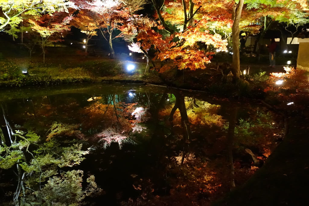 京紅葉2013＿高台寺09