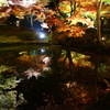 京紅葉2013＿高台寺09