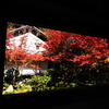 京紅葉2025＿槙尾・西明寺04