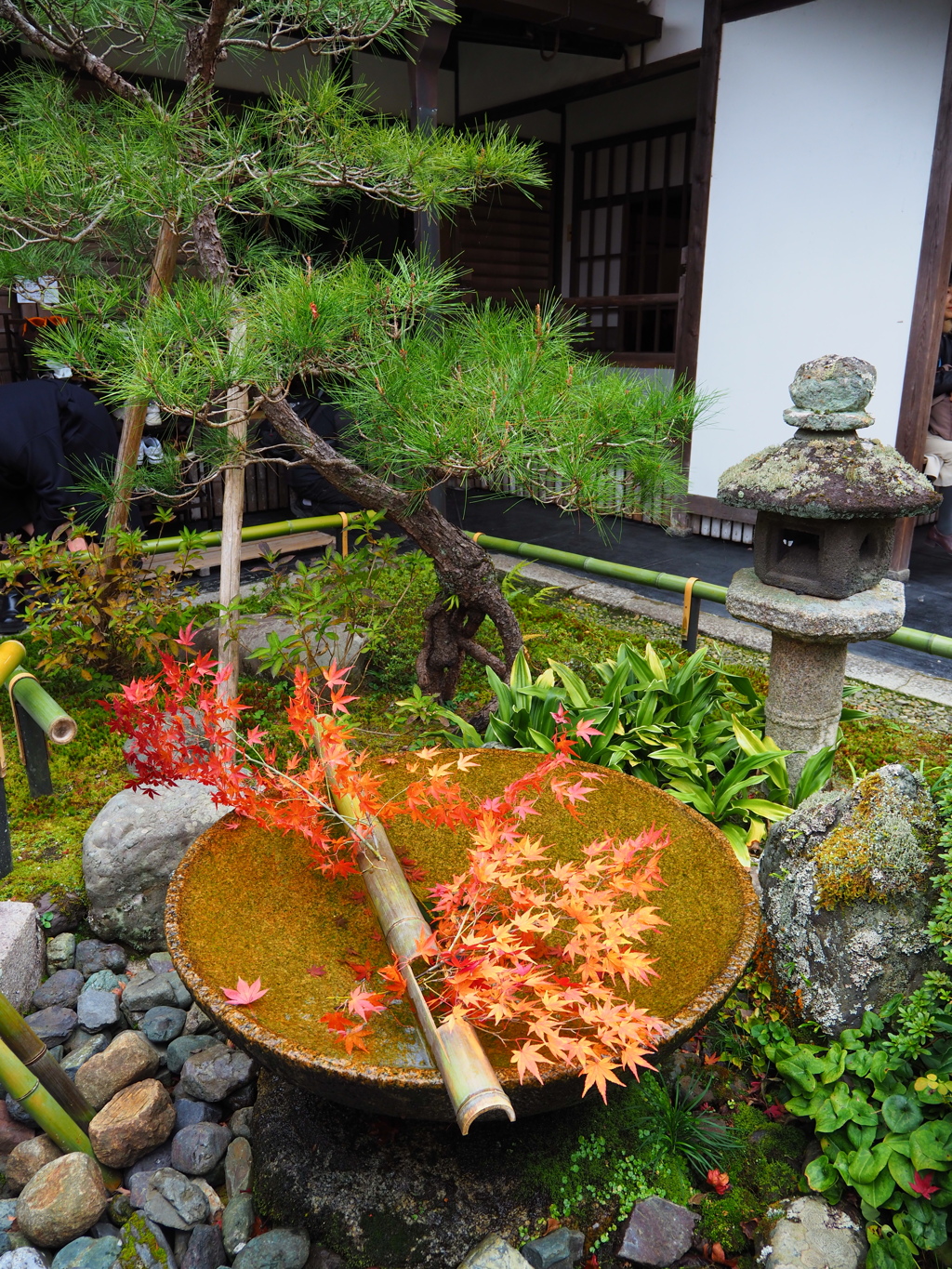 京紅葉2024＿圓光寺03　秋の音