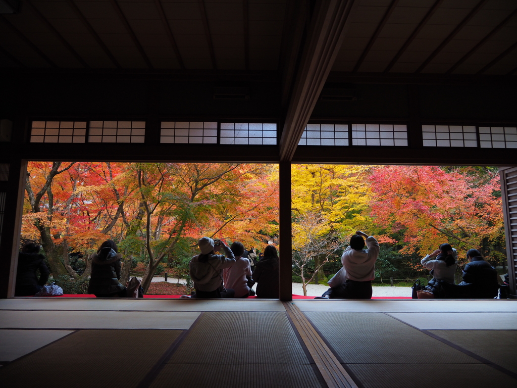 京紅葉2024＿圓光寺09　瑞雲閣より