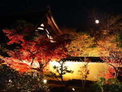 京紅葉2025＿嵐山・鹿王院夜の特別拝観18　舎利殿からのコールドムーン