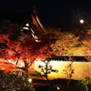 京紅葉2025＿嵐山・鹿王院夜の特別拝観18　舎利殿からのコールドムーン