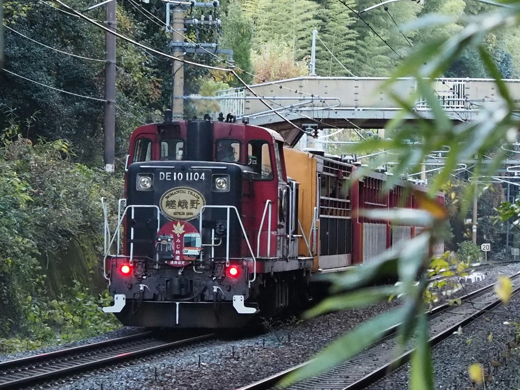 嵯峨野トロッコ列車 ー こう見えて押してます
