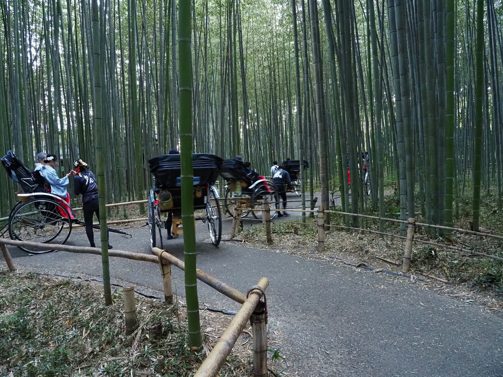 竹林の散策路02　少々渋滞中