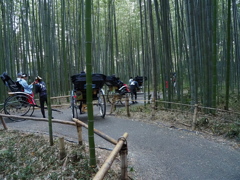 竹林の散策路02　少々渋滞中