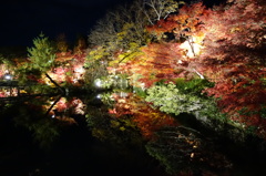 京紅葉2013＿永観堂05