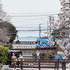 桜_京阪Ⅱ