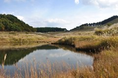 風の水面