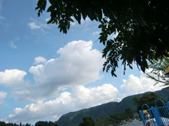 CIMG2455