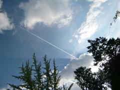 CIMG2458