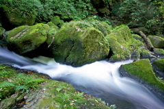 白糸の滝