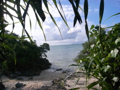 THE夏