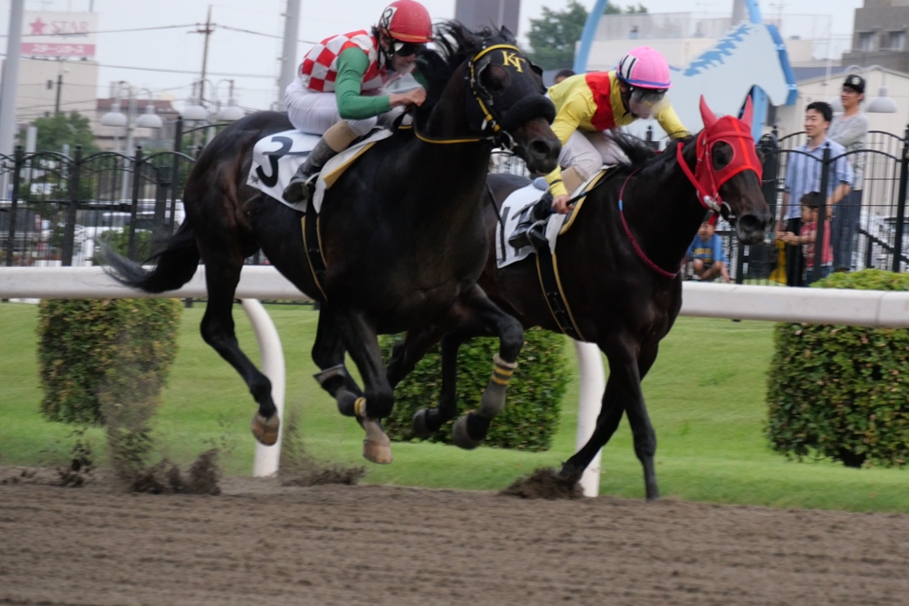 川崎競馬②
