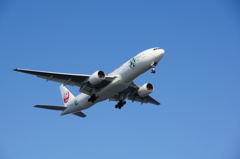 JAL エコジェット　JA8984