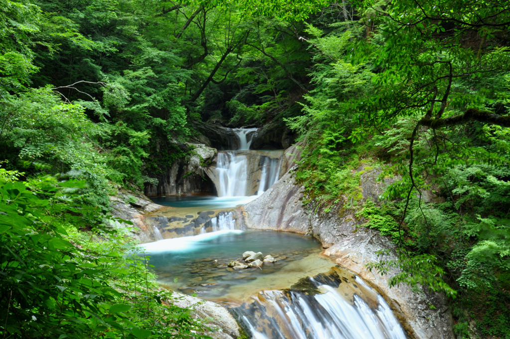 FRESH GREEN WATER