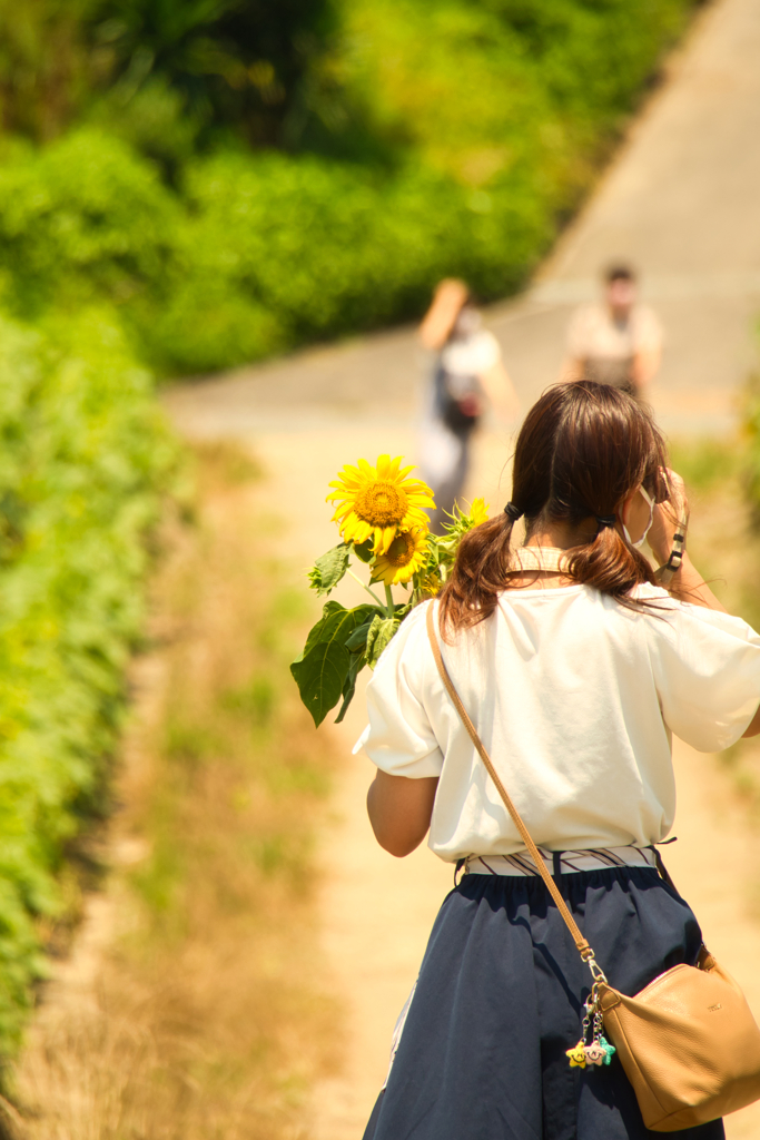 知多半島（花ひろば）