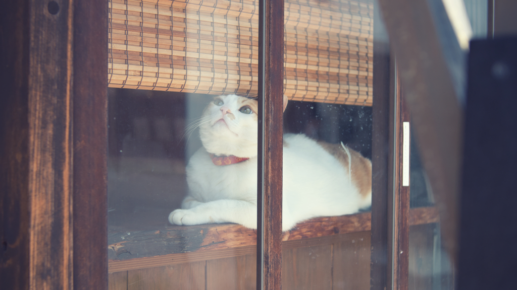 犬山城下町