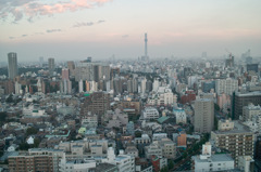 SDIM0410