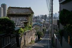 SDIM0108