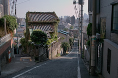 SDIM0105