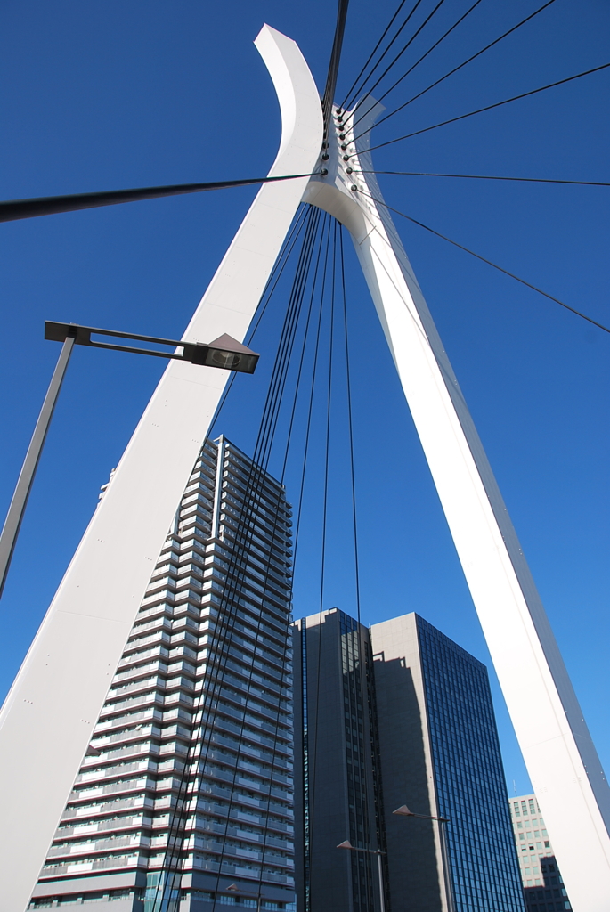 bridge2