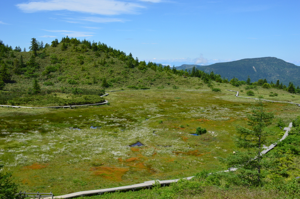 弓池湿原