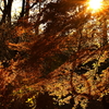 ＧＯＬＤＥＮＴＩＭＥ