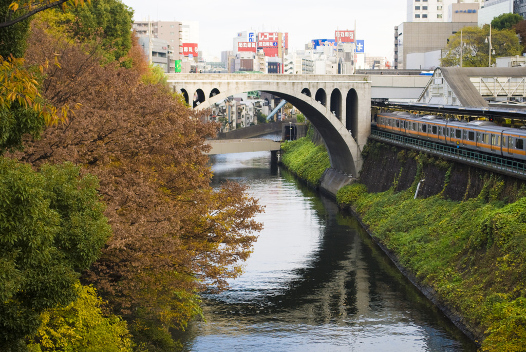 東京の紅葉めぐり3