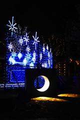 イルミネーション1