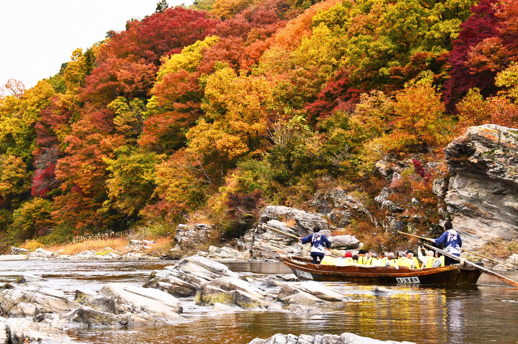 ライン下りと紅葉　