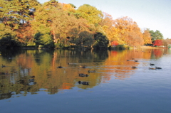 公園より4