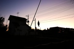 いけにえ