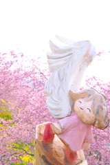 桜の天使