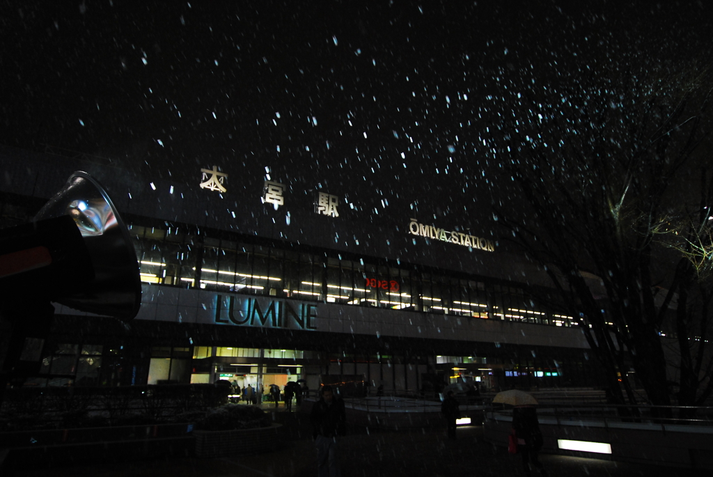 大宮駅雪模様