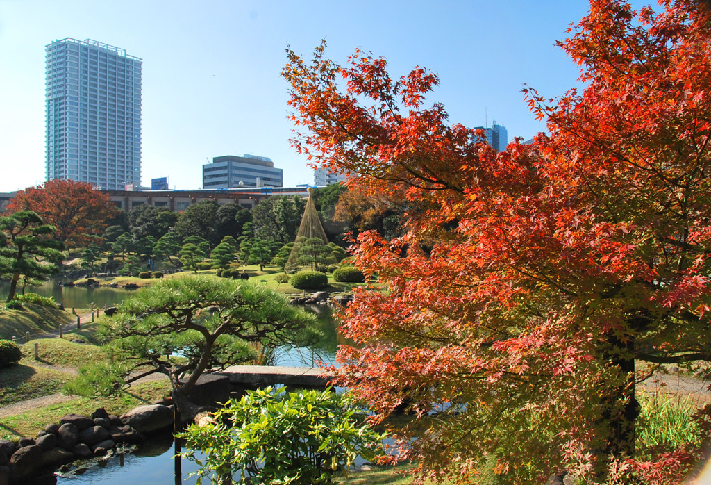 東京の紅葉めぐり1