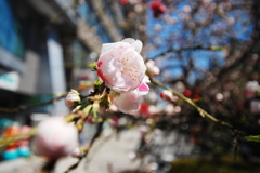 会社から2分・・・