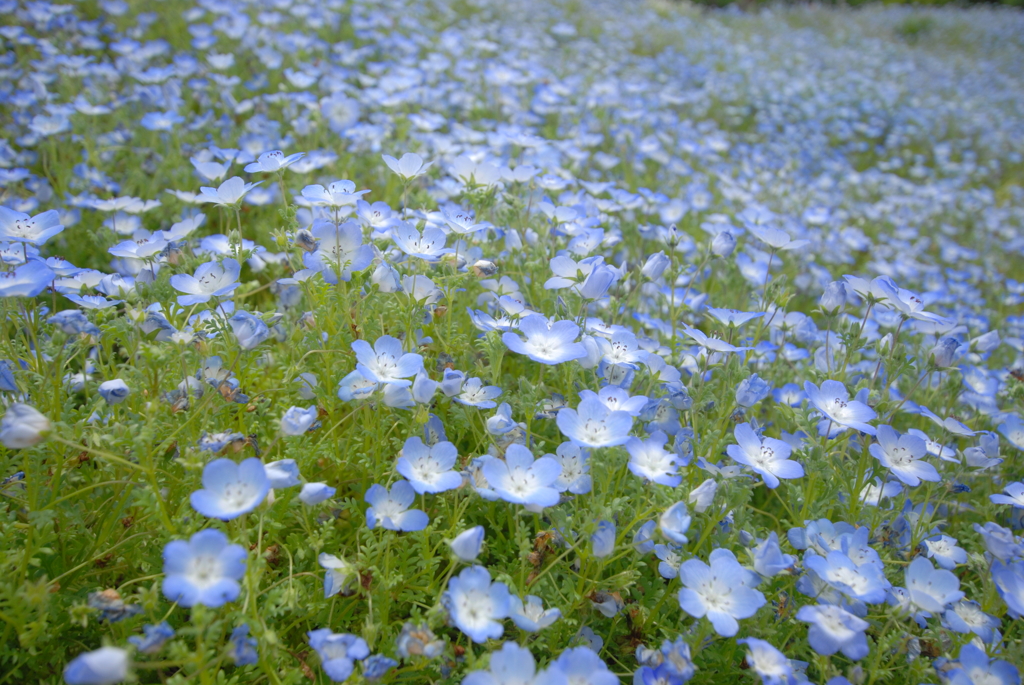 近所の公園にて